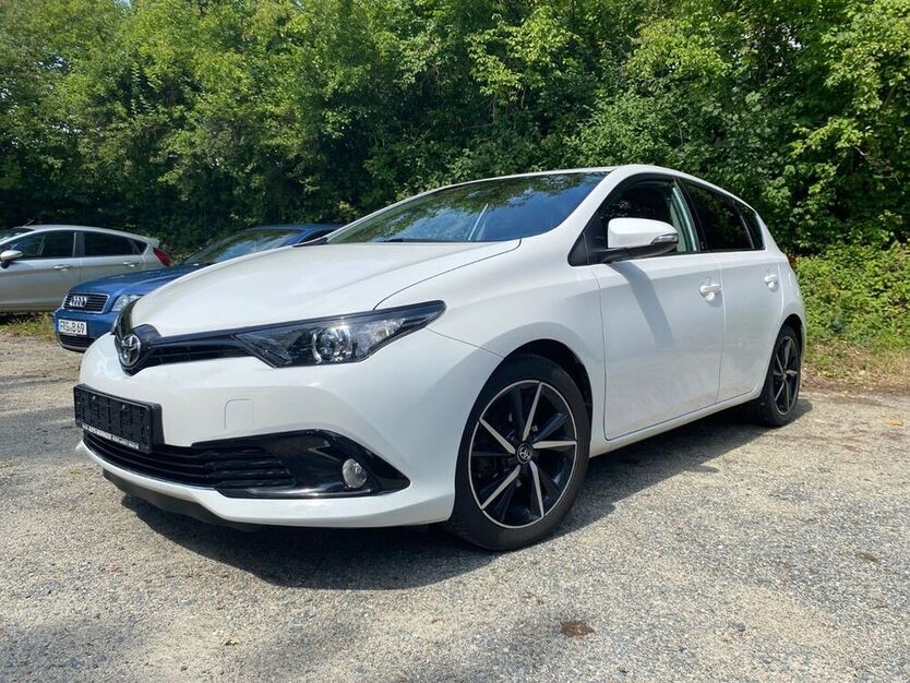 Auris