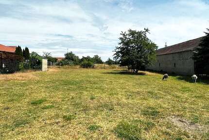 Grundstück zu verkaufen in Trippigleben 195.000 € 19285 m² zimmer