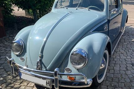 VW Käfer 73.450 km 24.950 &euro; Buxheim 85114
