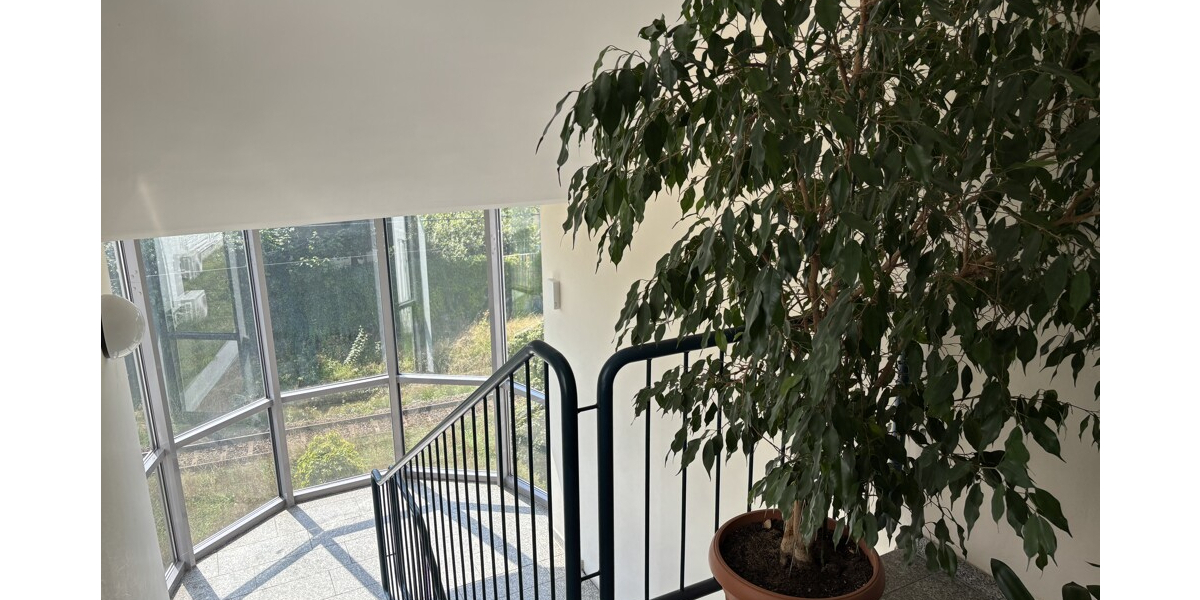 Seniorengerechte 3-Zimmer Eigentumswohnung mit Fahrstuhl und TG 3 zimmer