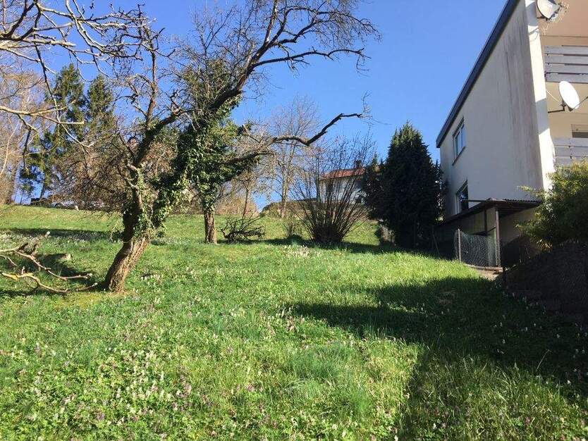 Großer Bauplatz von ca. 1.152 m² in guter Lage von Waldeck in der Nähe am Edersee! zimmer