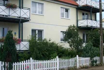 Wohnung zum Mieten in Calvörde 377 € 54 m² 2.5 zimmer