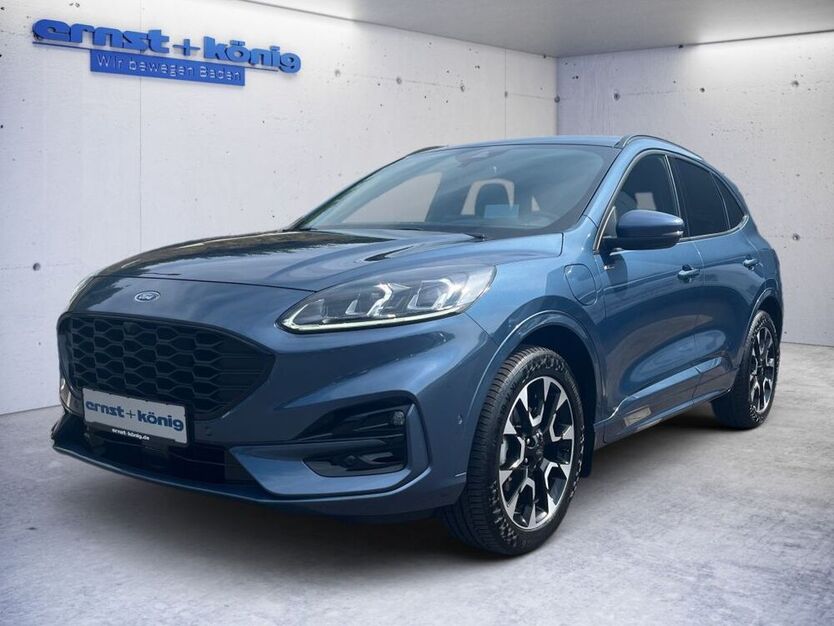 Kuga