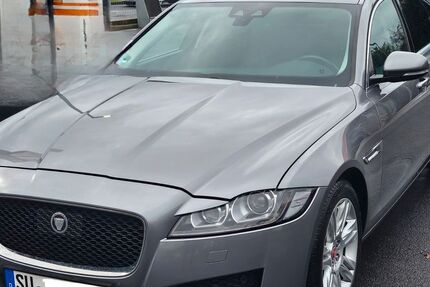 Jaguar XF 81.000 km 18.500 &euro; Much 53804