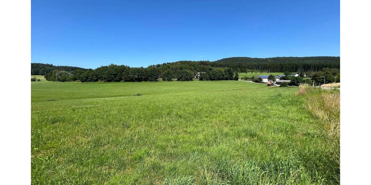 Grundstück Waidhaus - 100.000&euro; | Angebot:25697462