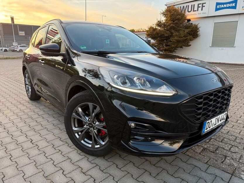 Kuga