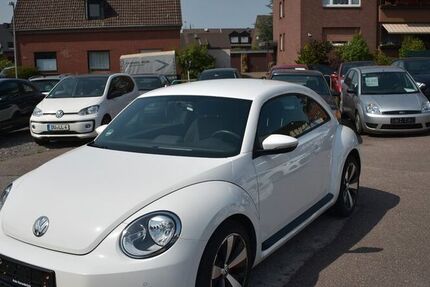VW Beetle