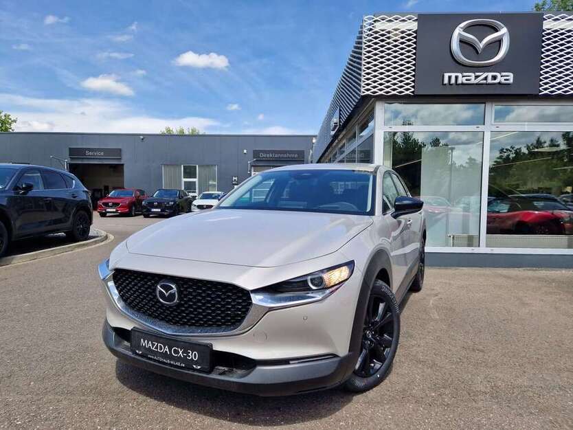 CX-30