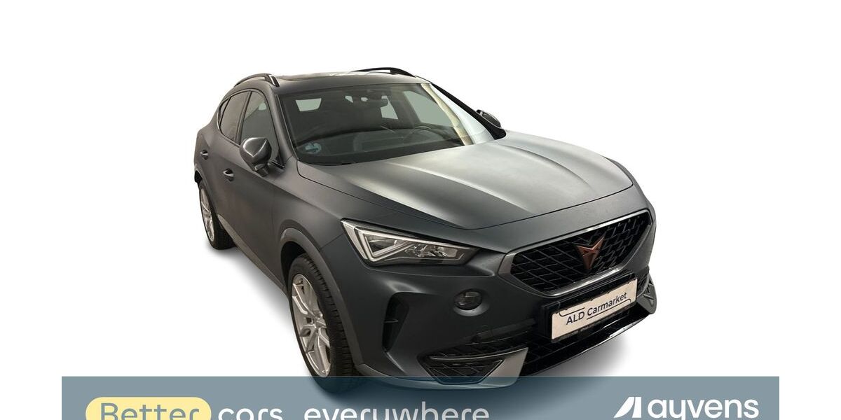 Cupra Formentor 68.097 km 21.980 &euro; Dorfmark 29683