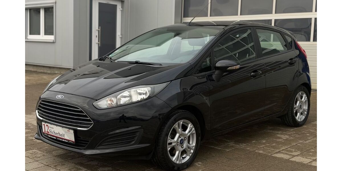 Ford Fiesta 52.700 km 7.290 &euro; Elchingen 89275