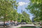 Etagenwohnung Berlin Mitte - 3 Zimmer, 177 m&sup2;, 4.800&euro; | Angebot:26863528