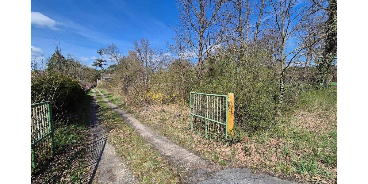 Grundstück Bad Düben - 78.000&euro; | Angebot:26290150