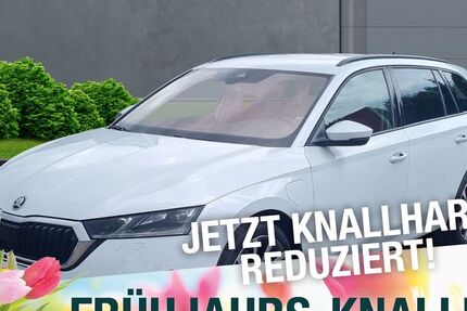 Skoda Octavia 83.654 km 20.790 &euro; Meiningen 98617