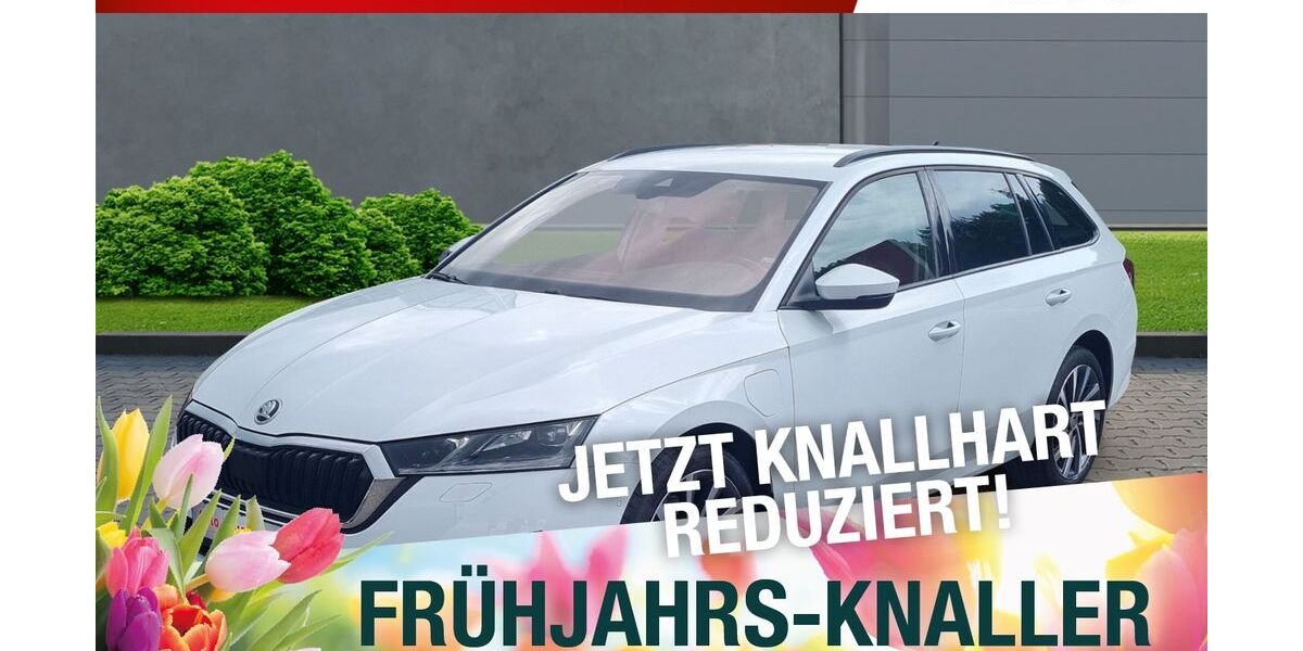 Skoda Octavia 83.654 km 20.920 &euro; Meiningen 98617