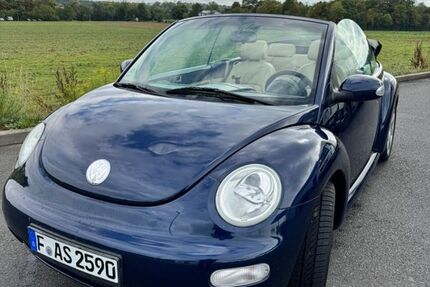 VW Beetle