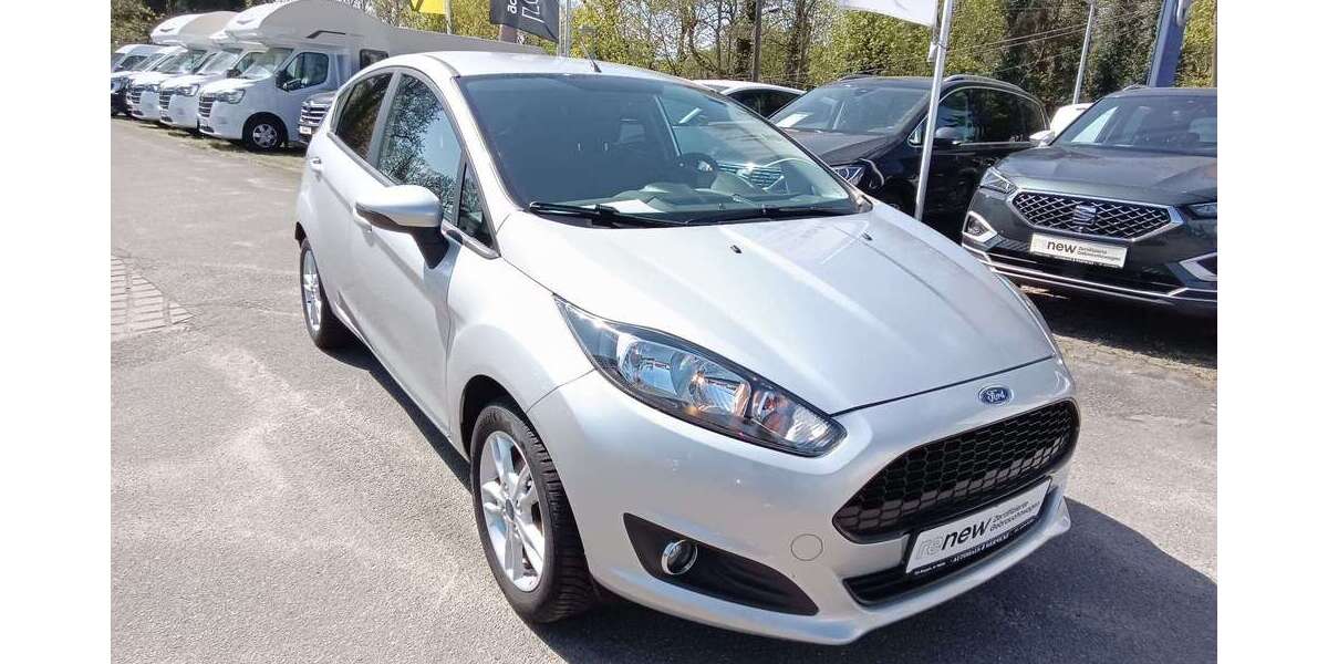 Ford Fiesta 99.000 km 6.990 &euro; Alt Ruppin 16827