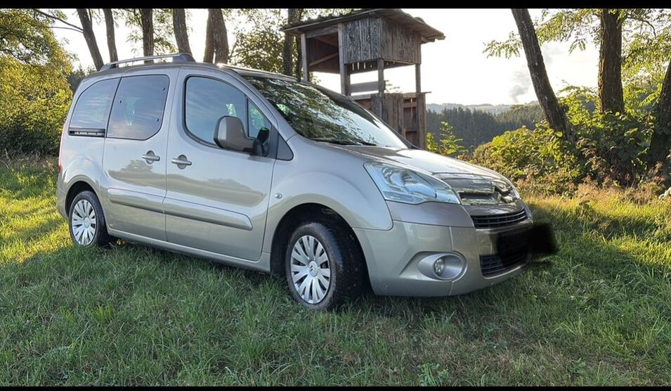 Citroen Berlingo 166.000 km 6.750 € Rickenbach 79736
