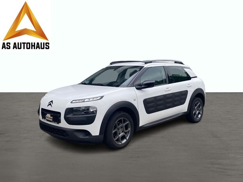 C4 Cactus