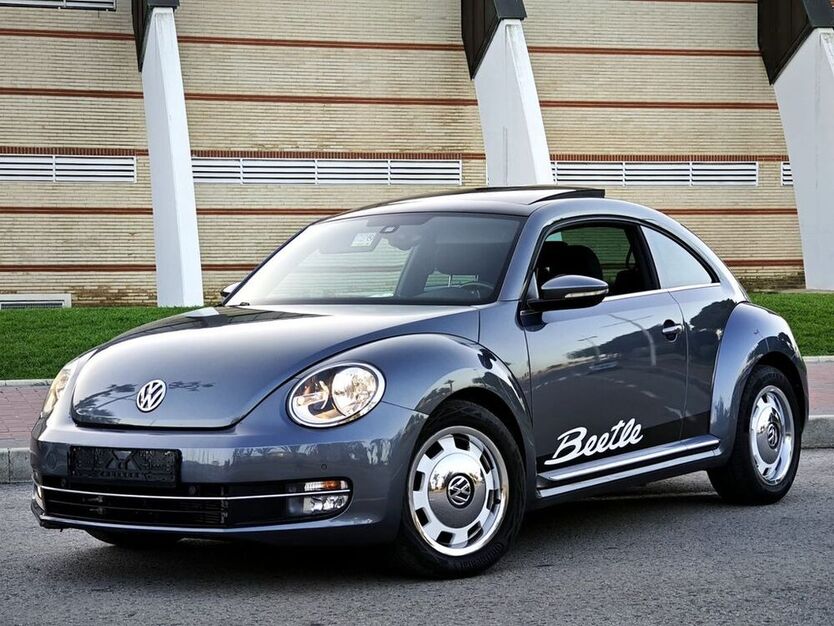 Beetle