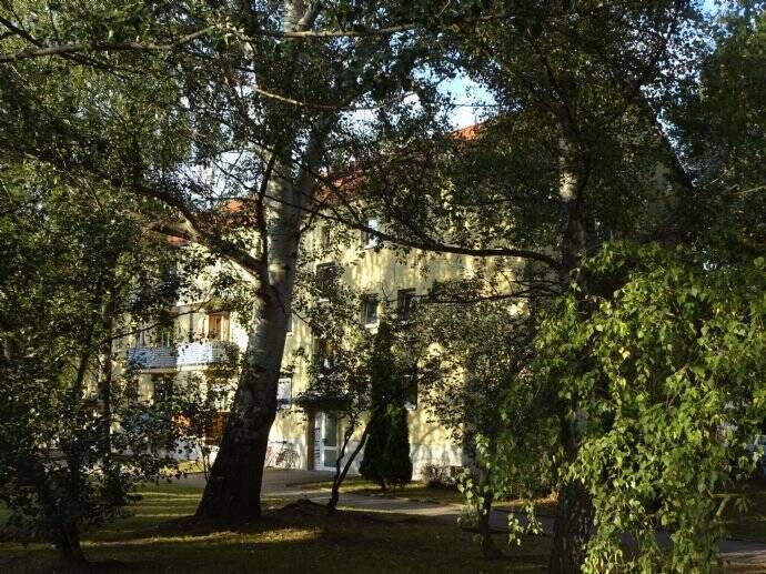 Schöne Wohnung mit Balkon in saniertem Wohnhaus in grüner Ruhiglage - Erdgeschoss 2 zimmer