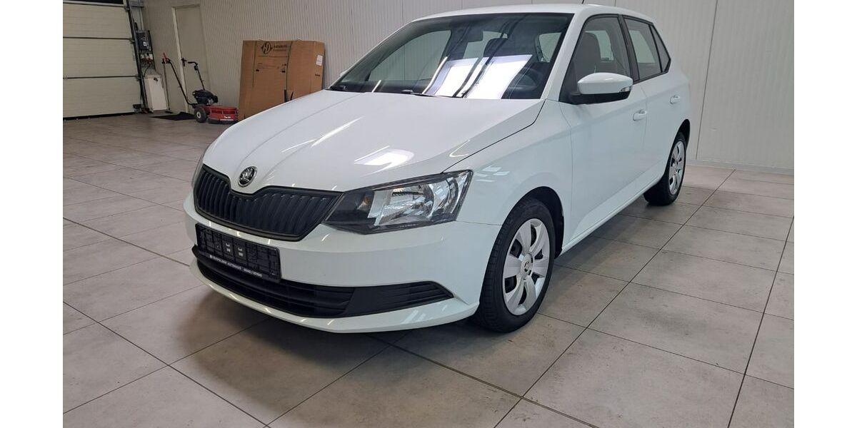 Skoda Fabia 181.841 km 4.390 &euro; Steinfeld 49439