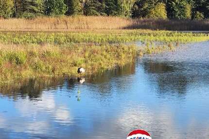 Grundstück Burgwedel - 99.000&euro; | Angebot:22918530