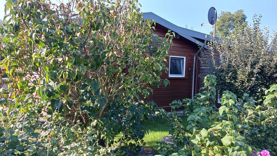 Bungalow Ueckermünde - 1 Zimmer, 45 m&sup2;, 49.000&euro; | Angebot:26321272