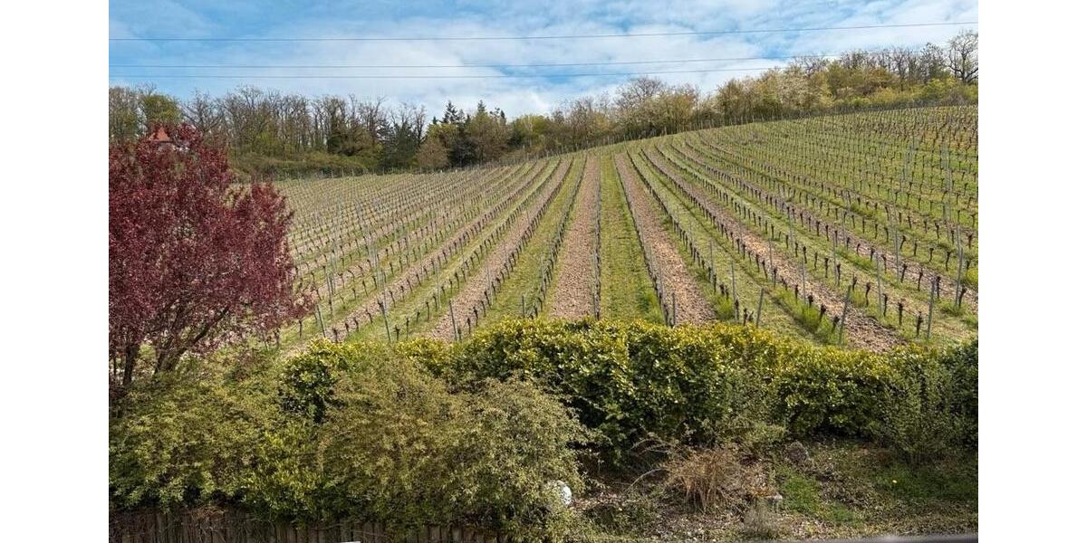 Einfamilienhaus Sommerhausen - 7 Zimmer, 180 m&sup2;, 799.000&euro; | Angebot:26885783