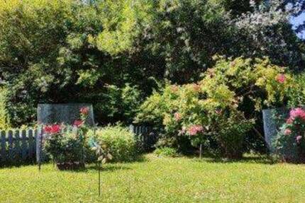 Haus Wiek - 3 Zimmer, 305.000&euro; | Angebot:26318199