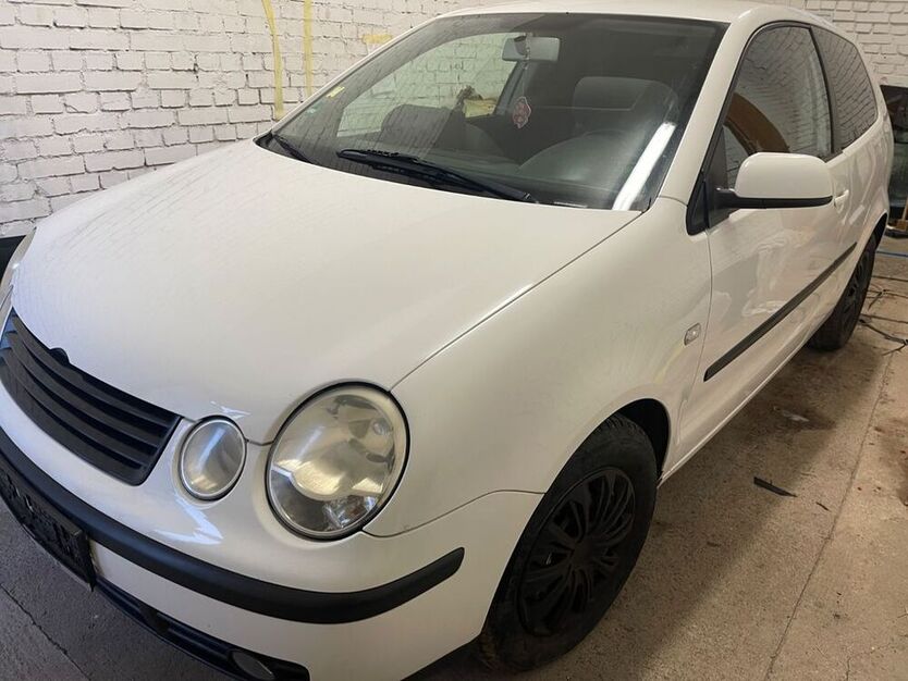 Polo