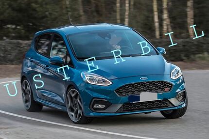 Ford Fiesta 115.000 km 14.000 &euro; rieden 87668