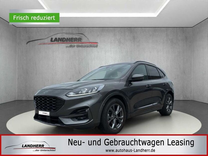 Kuga