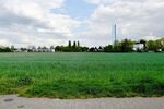 **RESERVIERT** Architektenbungalow + Einliegerwohnung + separate Büroeinheit in Feldrandlage von DA-Arheilgen - Bungalow Darmstadt-Arheilgen Darmstadt/Vororte | Angebot:26440066