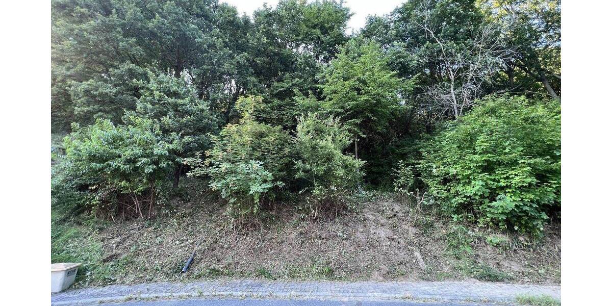 Grundstück Soden Soden - 150.000&euro; | Angebot:26805376