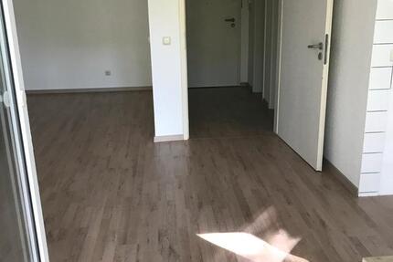 1 Raumwohnung zu vermieten 1 zimmer