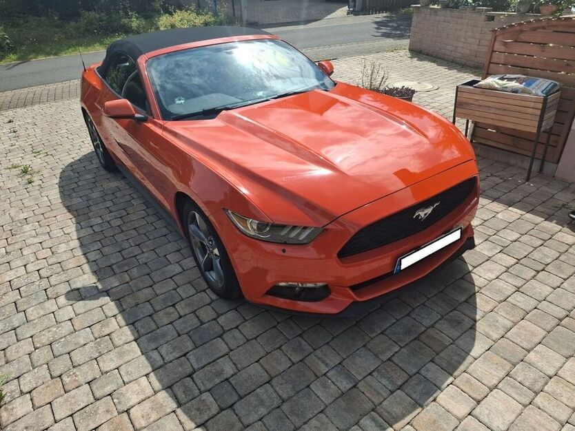 Mustang
