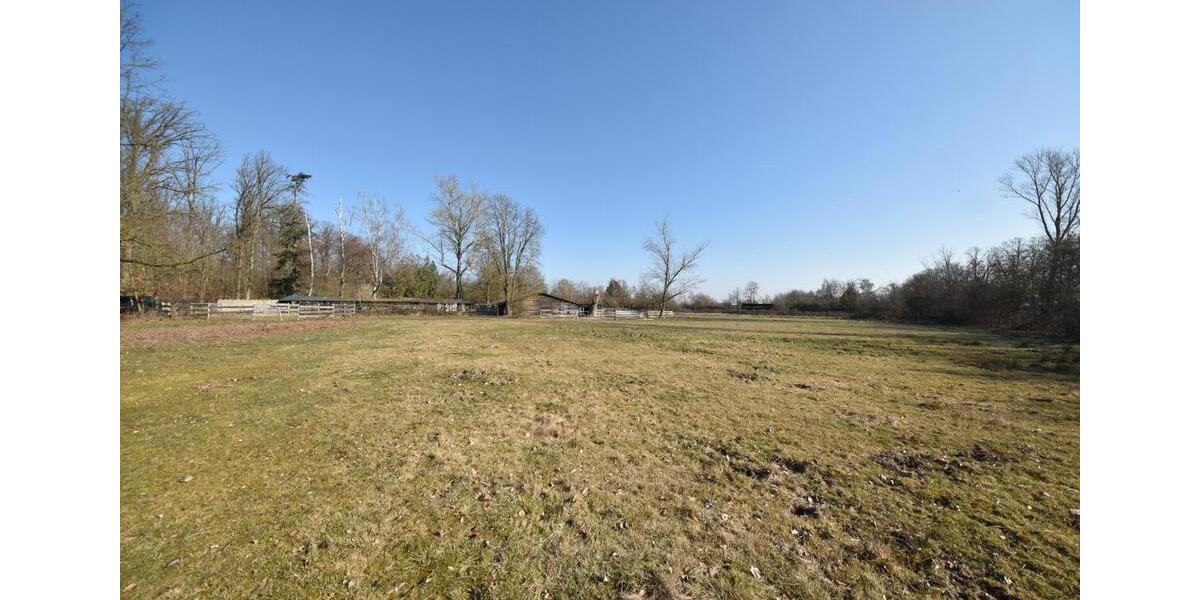 Gewerbeobjekt Seligenstadt - 1.300&euro; | Angebot:25431487