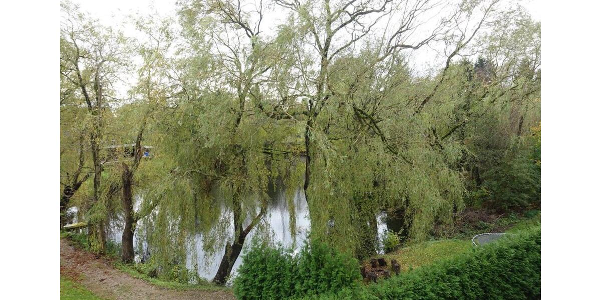 Einfamilienhaus Hoisdorf - 3.5 Zimmer, 104 m&sup2;, 1.360&euro; | Angebot:24944464