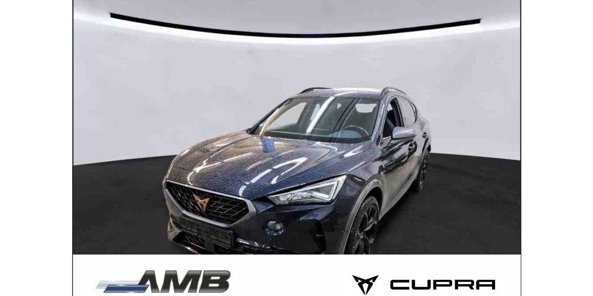 Cupra Formentor 47.970 km 27.380 &euro; Borna 04552