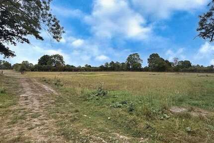 Grundstück Neustadt - 57.000&euro; | Angebot:24902947