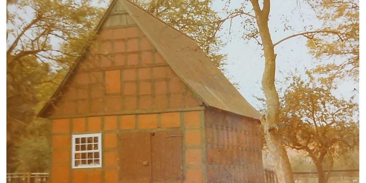 Historischer Niedersachsen- Bauernhof in Fachwerk mit Pferdeboxen u. tollen Eichenbaumbestand - Gewerbeobjekt Diepenau | Angebot:27295101