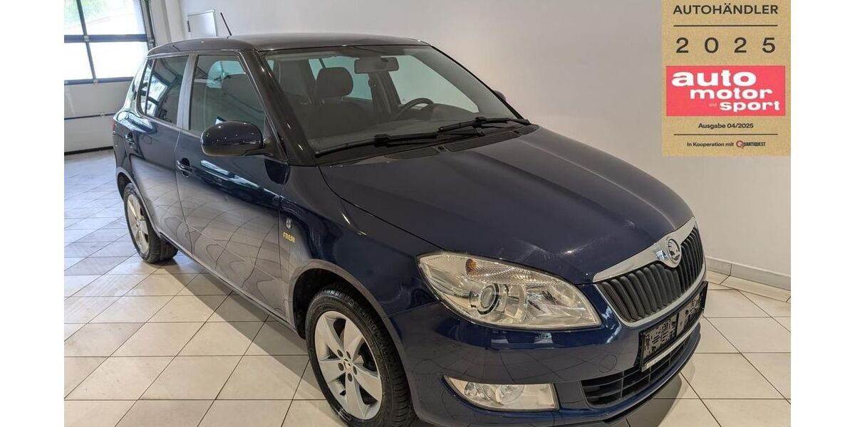 Skoda Fabia 161.000 km 5.899 &euro; Frohburg 04654