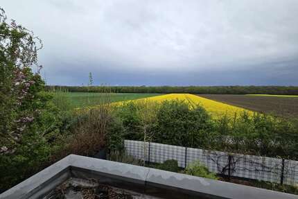 Haus zum Kaufen in Kerpen 665.000 € 195 m²