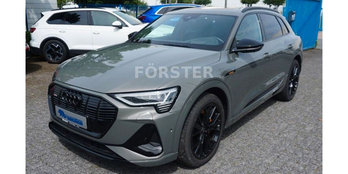 Audi e-tron 29.175 km 44.980 &euro; Bönen 59199