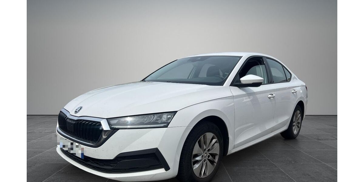 Skoda Octavia 300.000 km 13.999 &euro; Lahr 77933