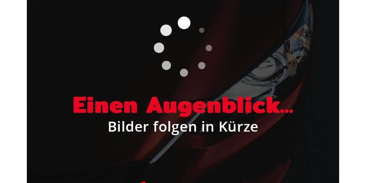 Seat Ibiza 57.600 km 13.990 &euro; Klingenthal 08248