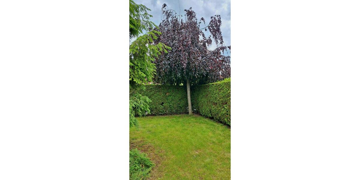 Doppelhaushälfte Schkopau - 6 Zimmer, 166 m&sup2;, 445.000&euro; | Angebot:26956882