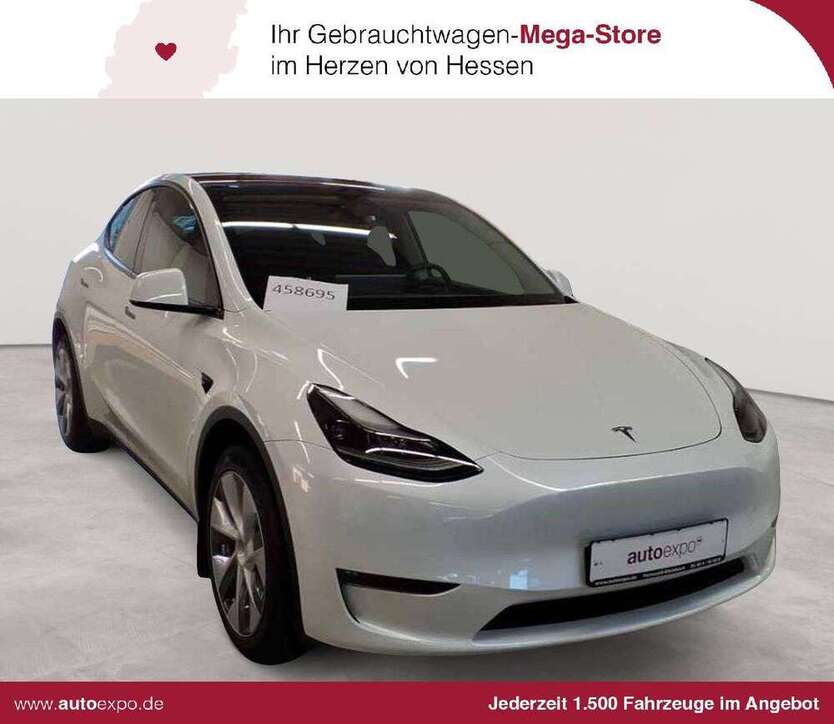Model Y