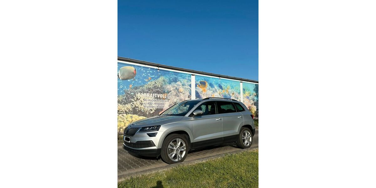 Skoda Karoq 122.000 km 15.200 &euro; Berlin 10319