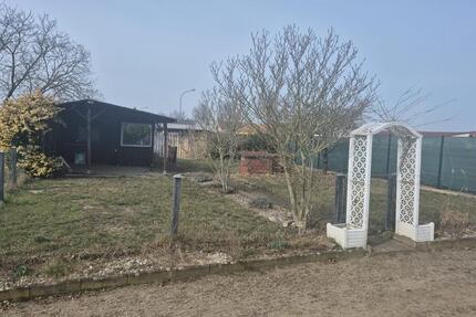 Grundstück Zahna-Elster Elster - 85&euro; | Angebot:25408272